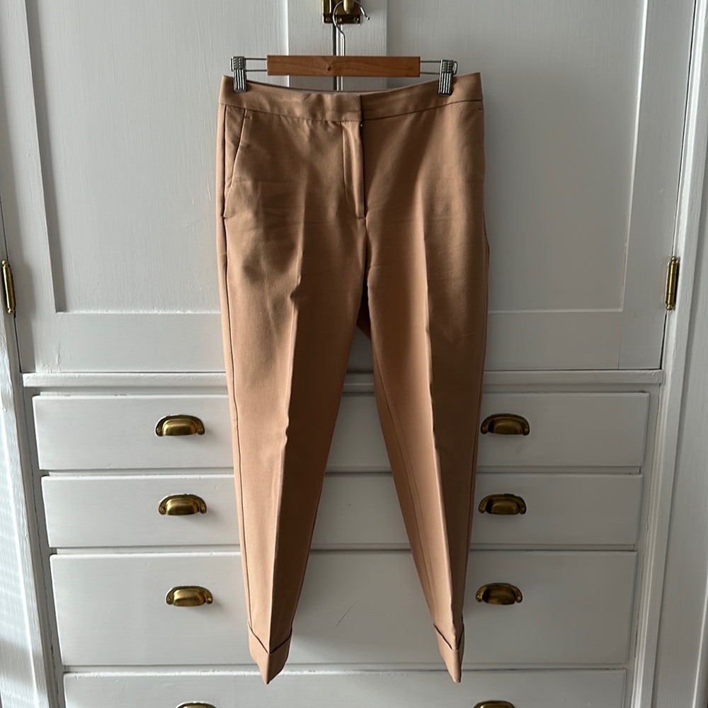 Ann Taylor Camel Curvy Pants